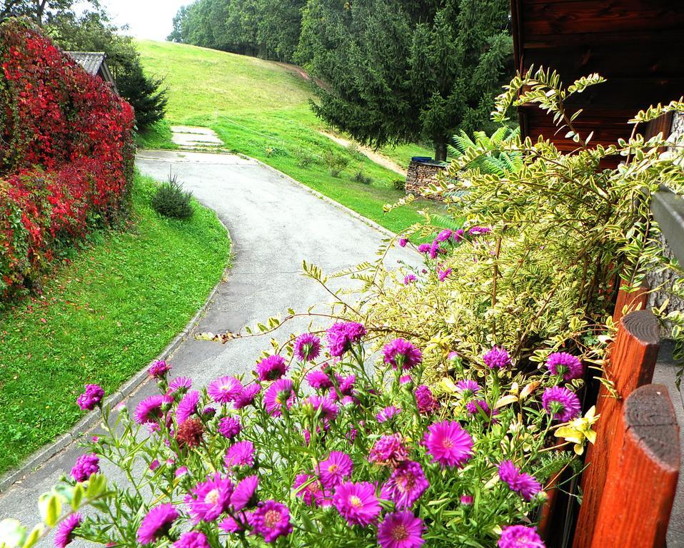 Penzion Bor Náchod Habitación foto