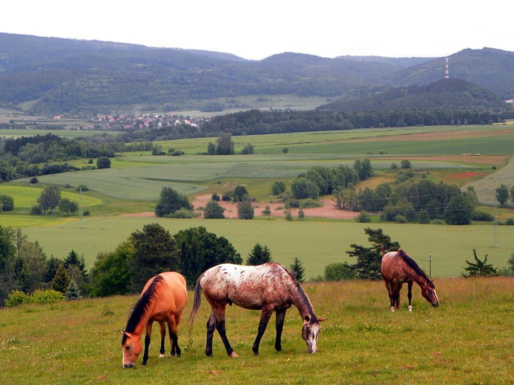 Penzion Bor Náchod Exterior foto