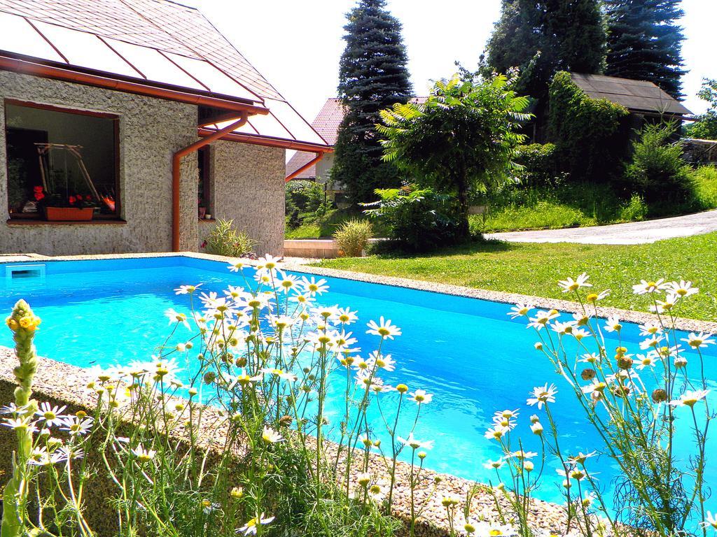 Penzion Bor Náchod Exterior foto