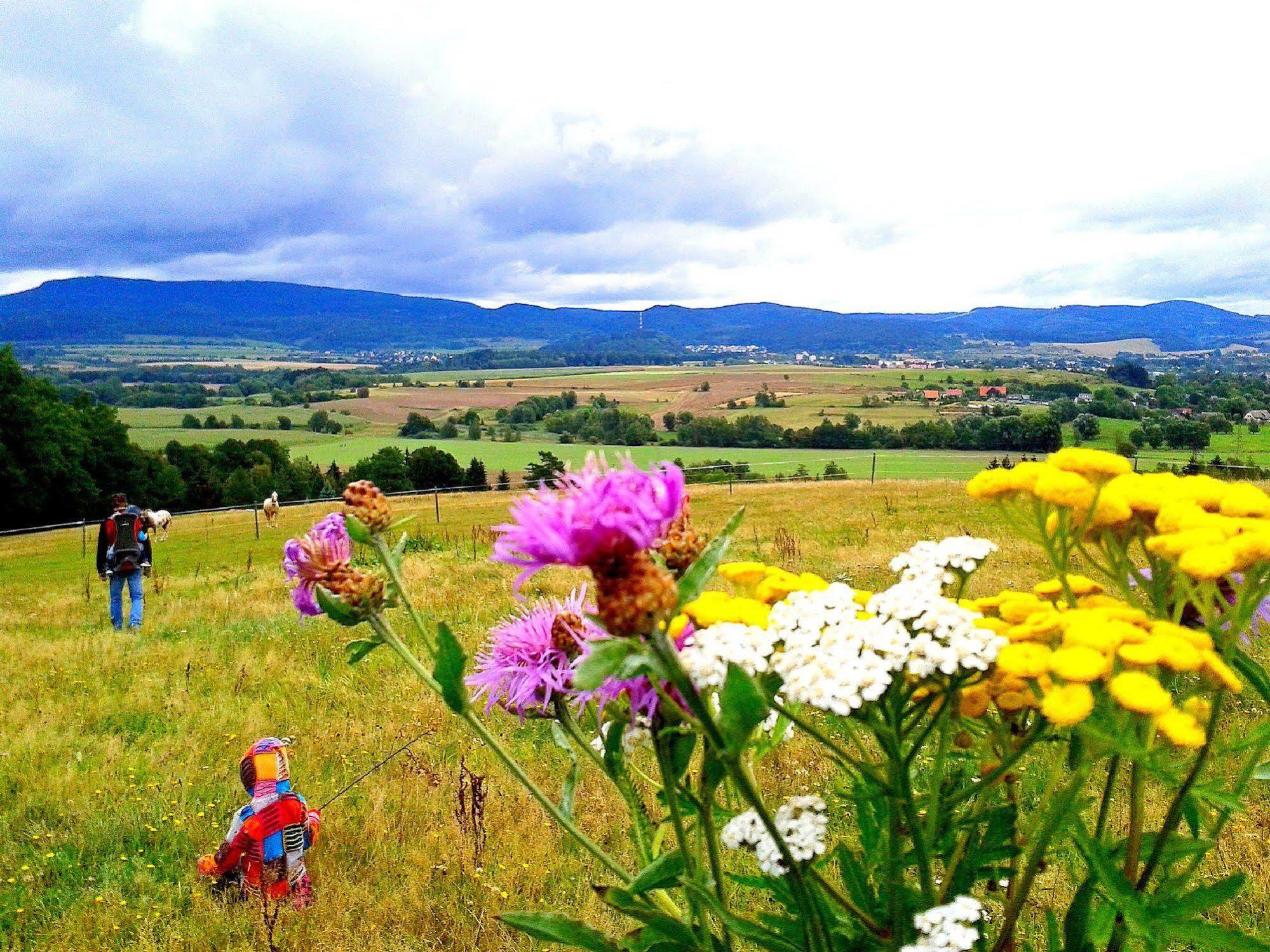Penzion Bor Náchod Exterior foto