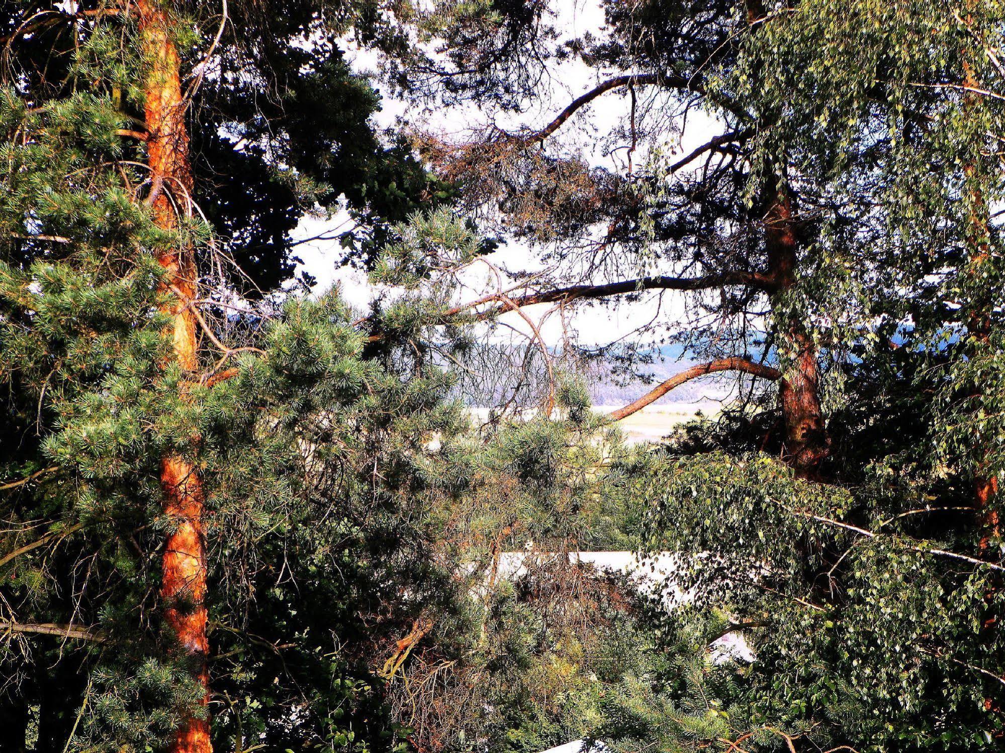 Penzion Bor Náchod Exterior foto